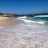 Allan Fleming Photo 22 Allan Fleming Photo 22