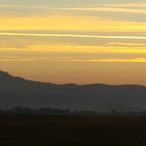 Julie O'Brien Photo 23