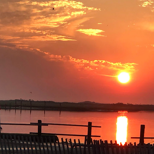 Theresa Scardino Photo 9