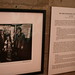 Janis Hill Photo 19