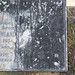 Amy Rowland Photo 21