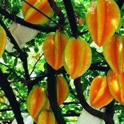 Glenn Robbins Photo 18