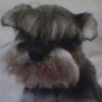 Anita Paul Photo 5