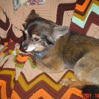 Joyce Archer Photo 17