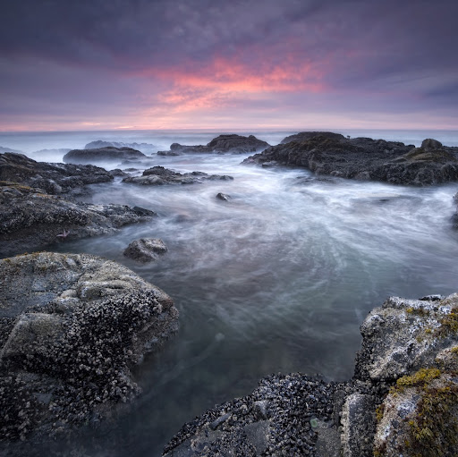 Shawn Stevens Photo 36 Shawn Stevens Photo 36