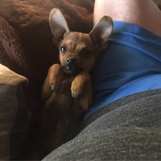 Rebecca Ellis Photo 35 Rebecca Ellis Photo 35