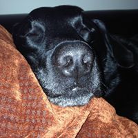 Anna Knowles Photo 13