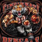 Robin Stahl Photo 15