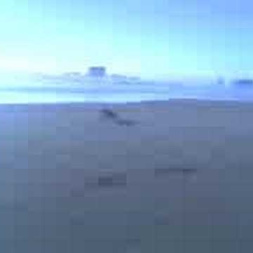 Christopher Tanner Photo 21