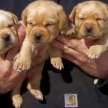 Tamika Stewart Photo 16