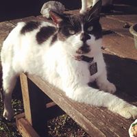 Kathryn Meadows Photo 15