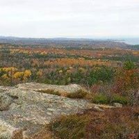 Denise Straley Photo 2