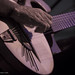 Steve Newman Photo 9