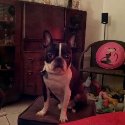 Samuel Boyd Photo 29