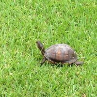 Stephanie Neely Photo 28