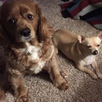 Theresa Stahl Photo 36