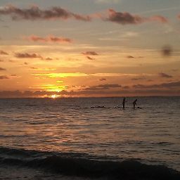 Edward Robson Photo 21 Edward Robson Photo 21