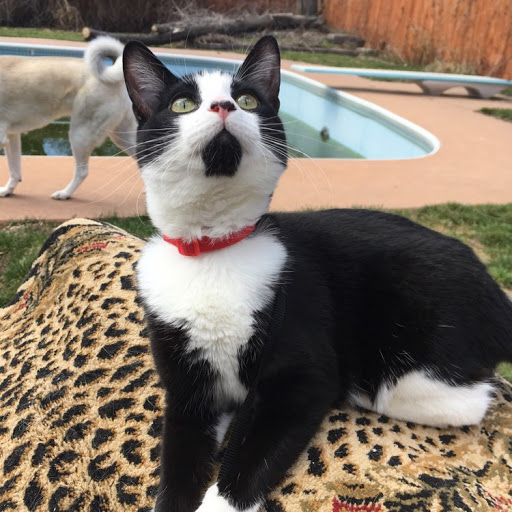 Katie Parish Photo 4