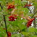 Kelly Berry Photo 11