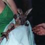 Andrea Reilly Photo 11