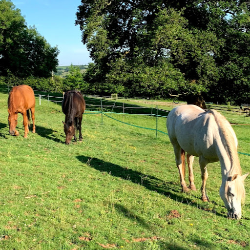 Erica Dixon Photo 11