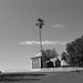 John Windsor Photo 41