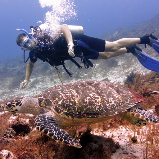 George Mathews Photo 32 George Mathews Photo 32