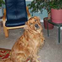 Shelley Aldrich Photo 15