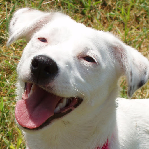 Renee Mills Photo 17