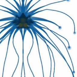 Jeremy Graves Photo 16