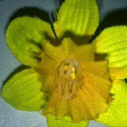 Danielle Garner Photo 15