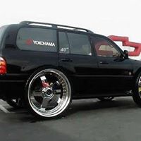 Mark Haynes Photo 34