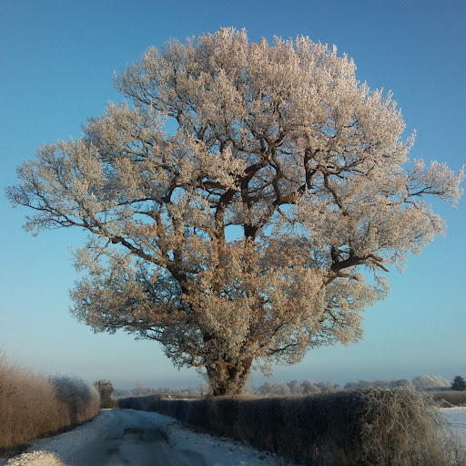 Joanne Matthews Photo 31