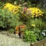 Nancy Lee Photo 33