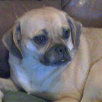 Ron Albright Photo 20