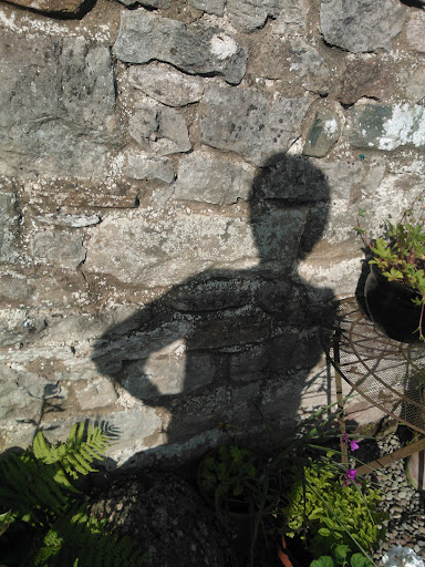 Jill Brewer Photo 26