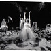 Robin Legendre Photo 17