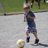 Scott Lindstrom Photo 11