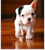 Barbara Simmons Photo 6