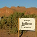 Deborah Nelms Photo 4