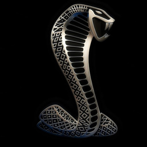 Robert Whitten Photo 42