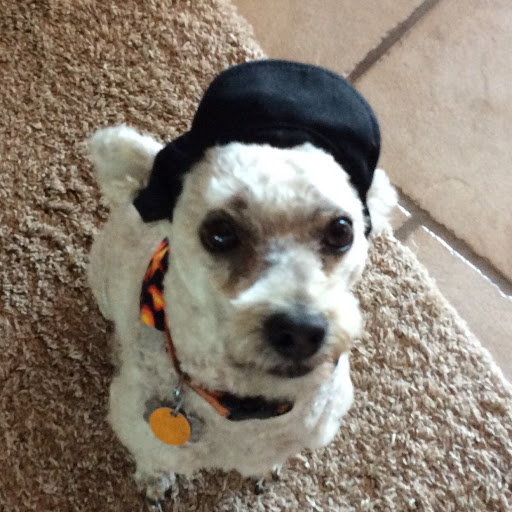 John Leith Photo 16 John Leith Photo 16