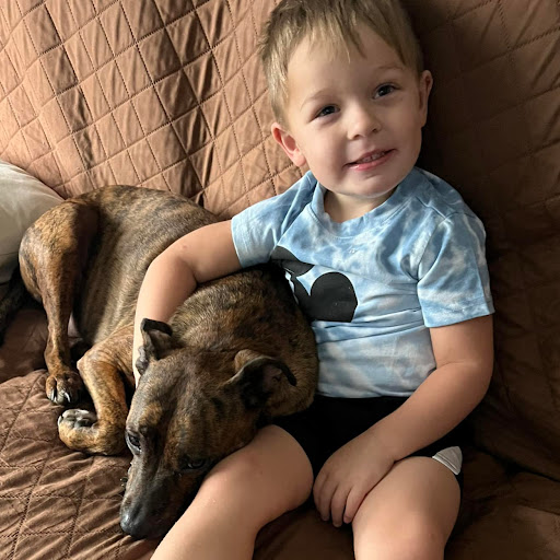 Sherry Gray Photo 25