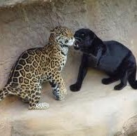 Samantha Smith Photo 23