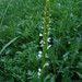 Mark Kerns Photo 17