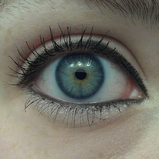 Julie Mccarthy Photo 33