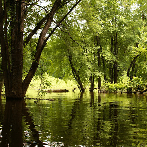 Tracy Hedrick Photo 7