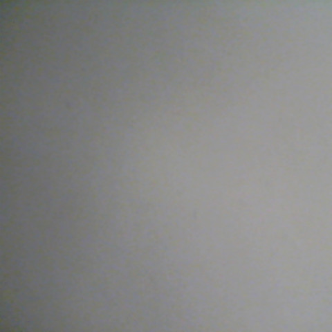 Ronnie Green Photo 33