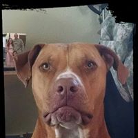 Cynthia Clayton Photo 38