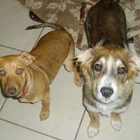 Elaine Madden Photo 21